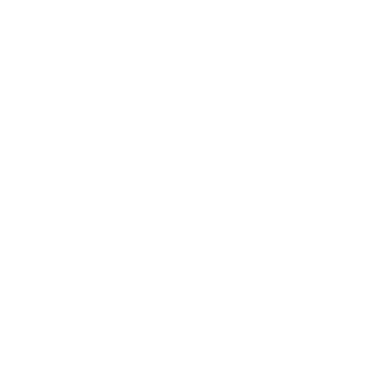 DSL Internet Icon 